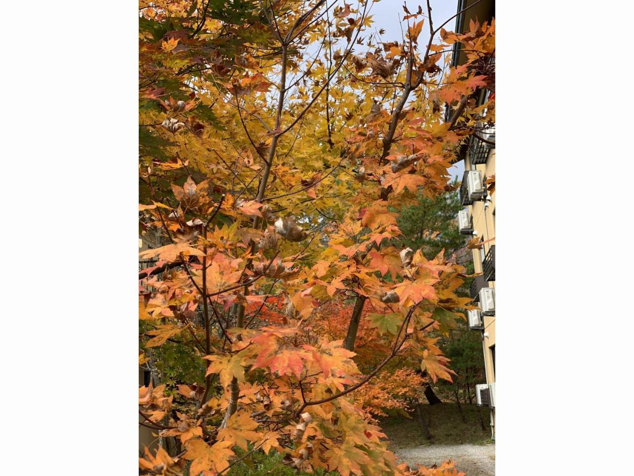 Zao Shikitei Hotell Shiroishi  Exteriör bild